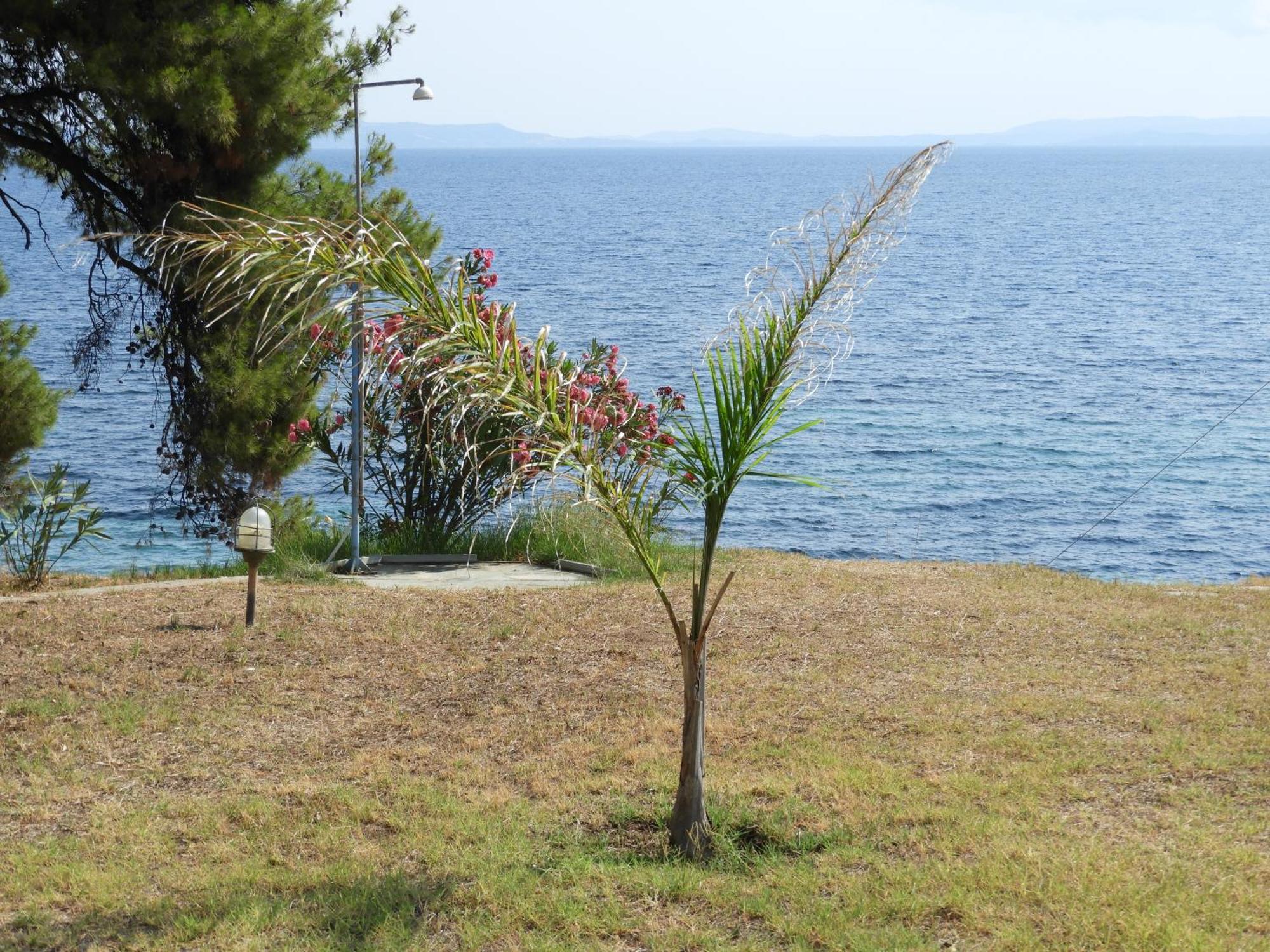 Sangue Blu Beachfront Villa Apartment Ayos Nikolaos Dış mekan fotoğraf